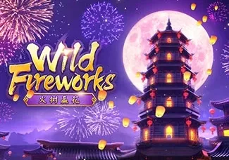 Wild Fireworks game cover